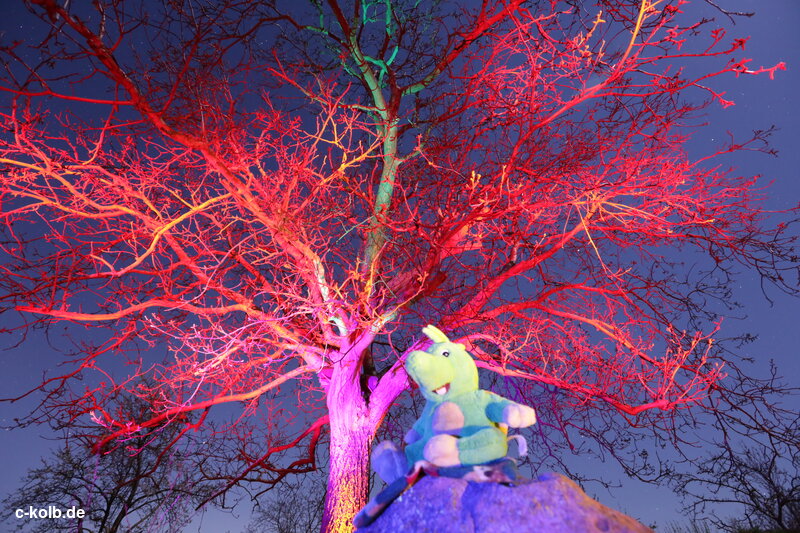 colorfully illuminated tree with Tabaluga